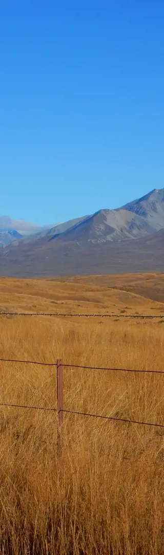 Abenteuerliche Fahrt zum Lake Clearwater